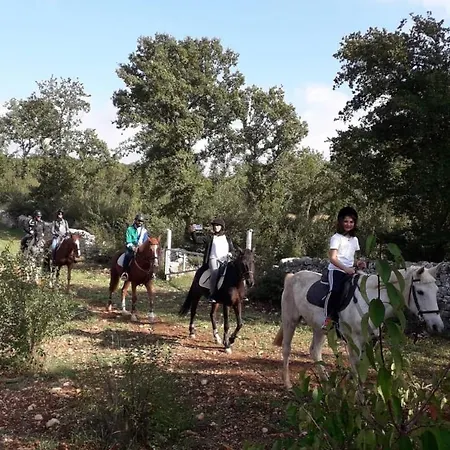 Trulli Pietre Del Sud Piscina Ad Uso Esclusivo *